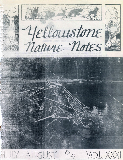 issue cover