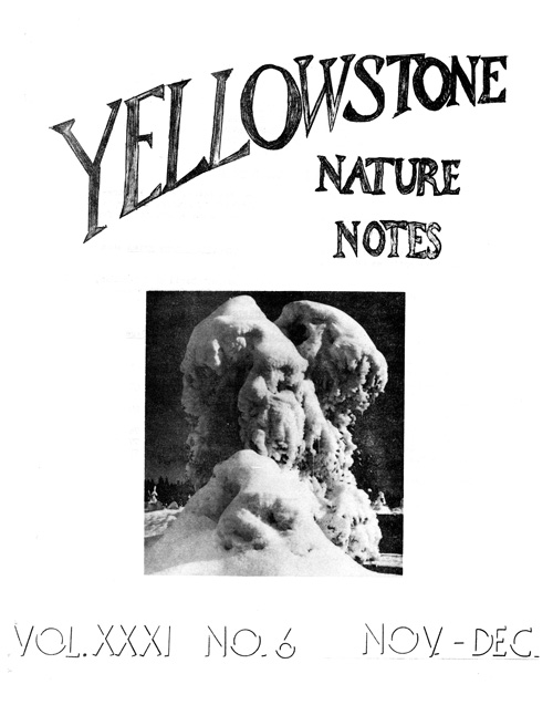 issue cover