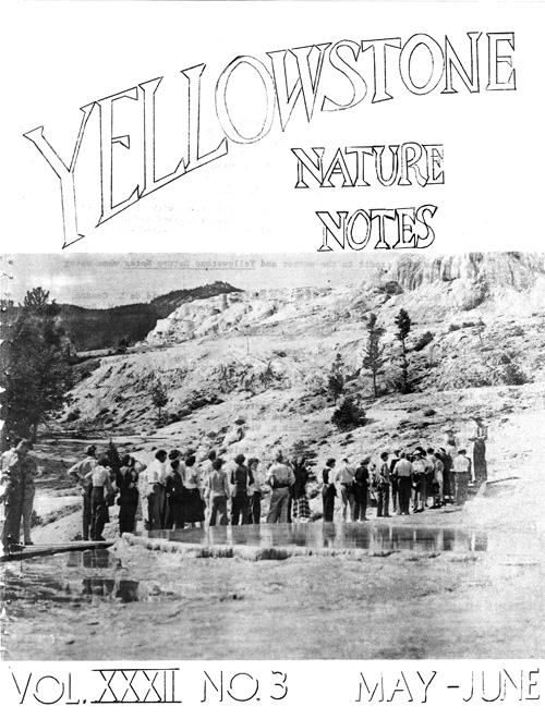issue cover