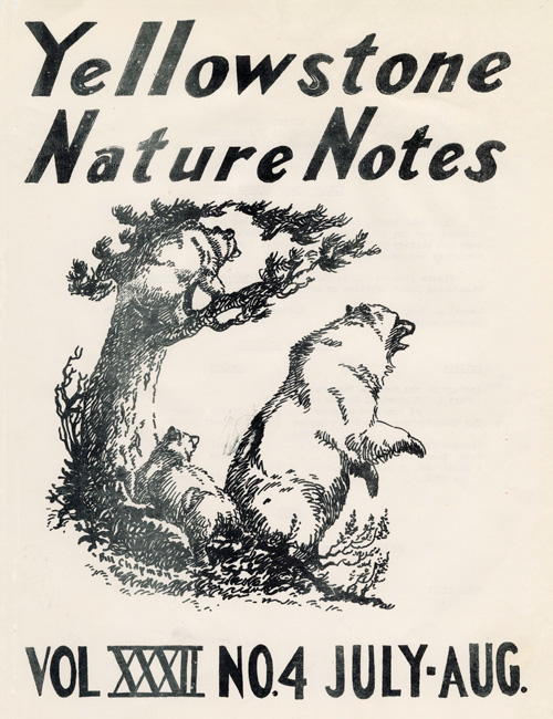 issue cover