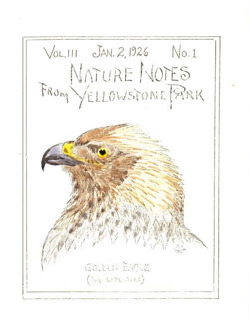 issue cover