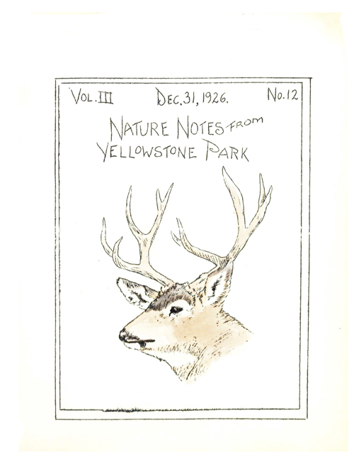 issue cover