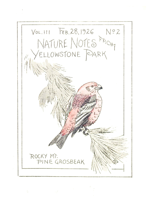 issue cover