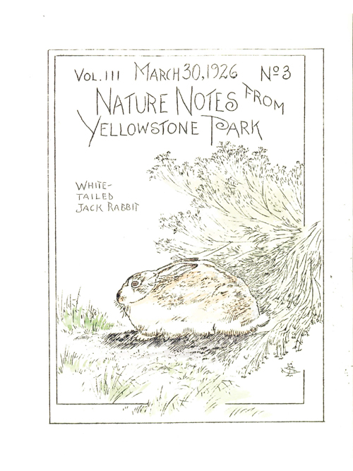 issue cover