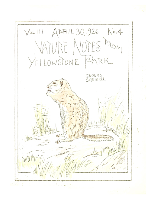 issue cover