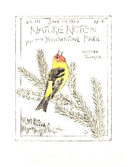issue cover