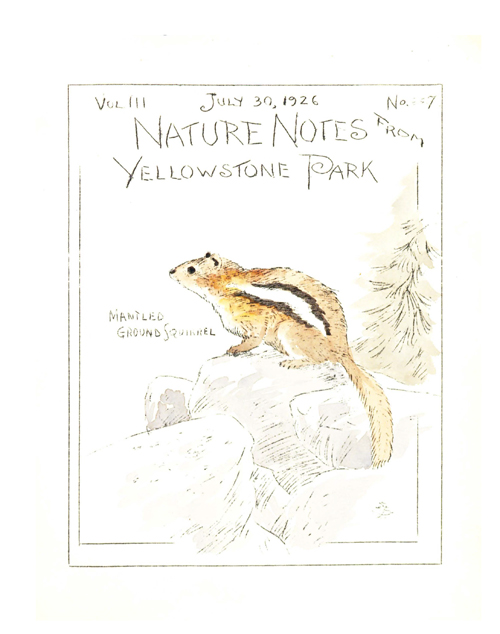 issue cover