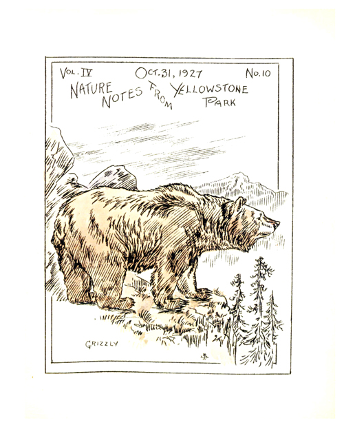 issue cover
