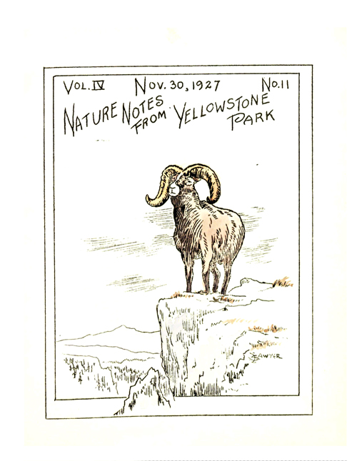 issue cover