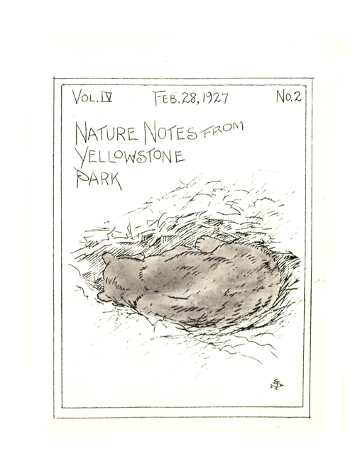 issue cover