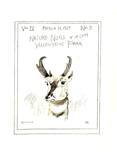 issue cover