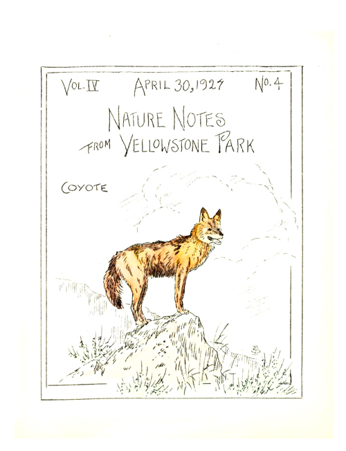 issue cover