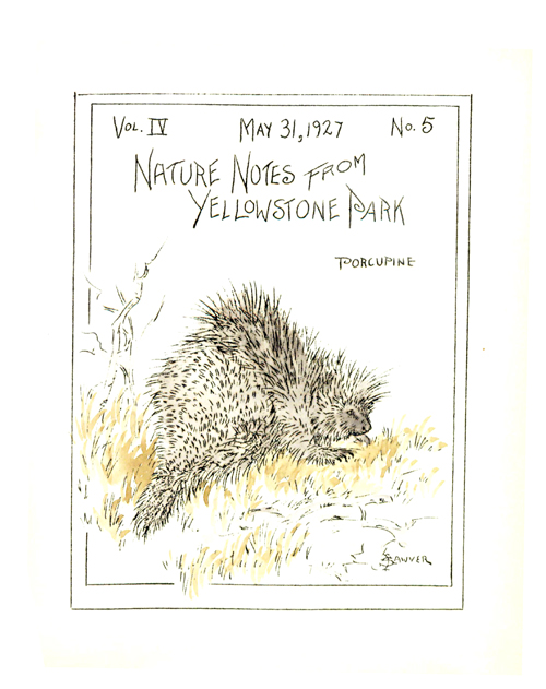 issue cover
