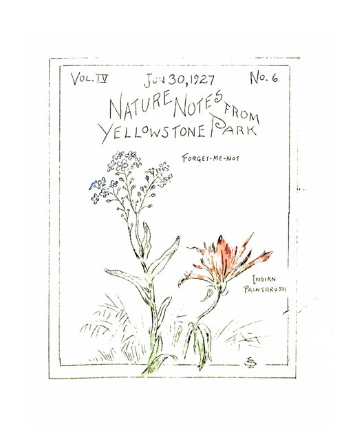 issue cover