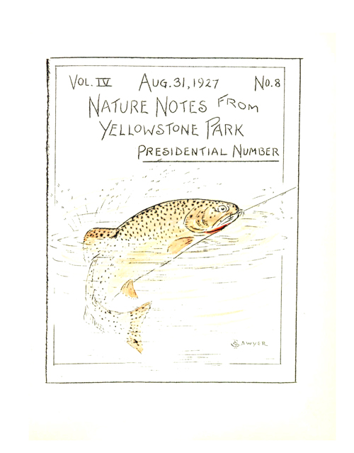 issue cover