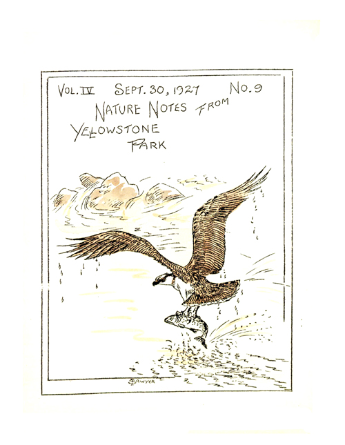issue cover