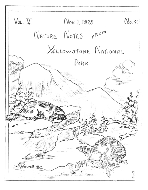 issue cover