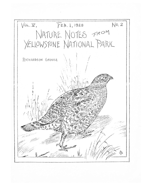 issue cover