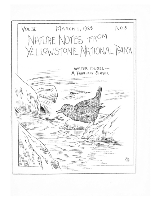 issue cover