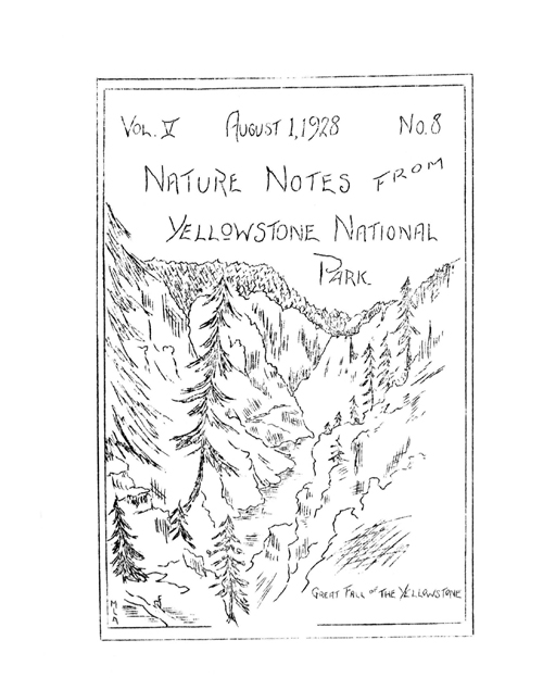 issue cover