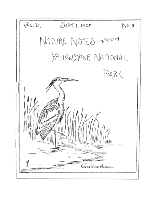 issue cover