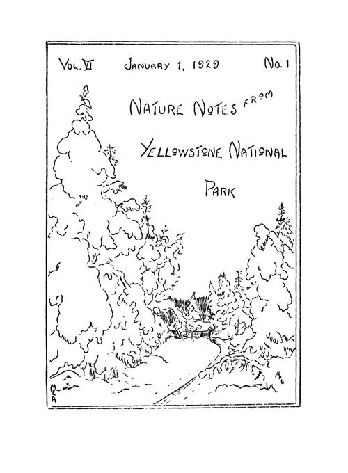 issue cover