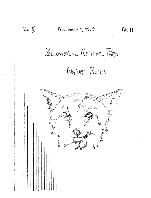 issue cover