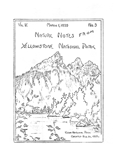 issue cover