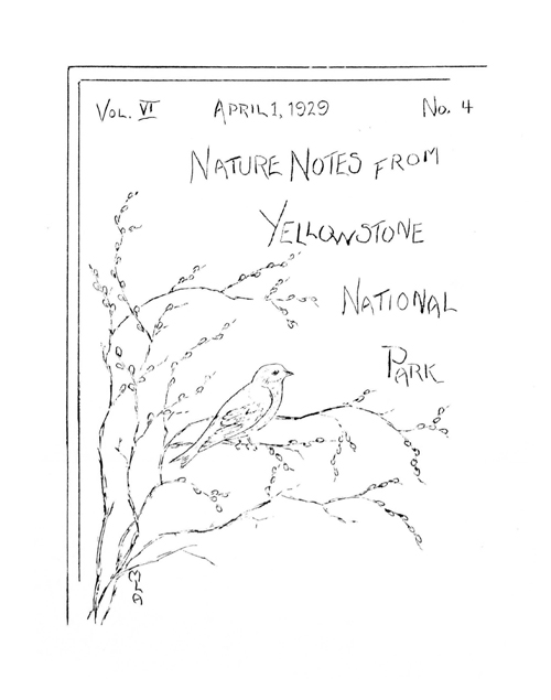 issue cover