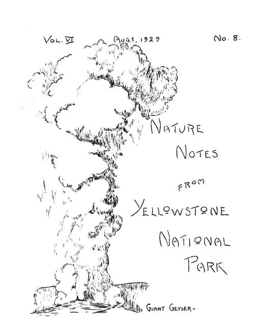 issue cover