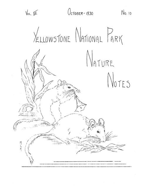 issue cover