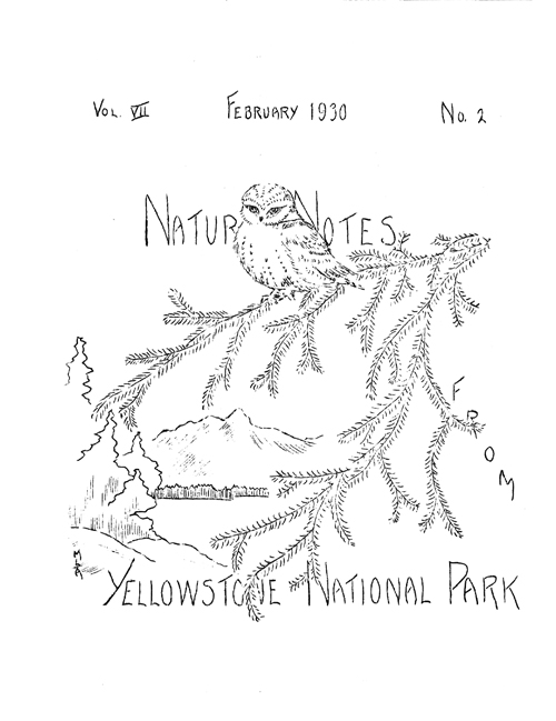 issue cover