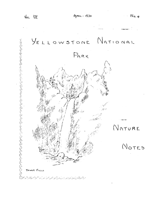 issue cover