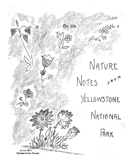 issue cover