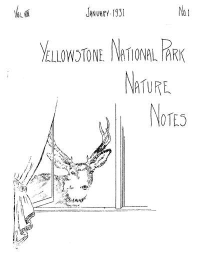 issue cover
