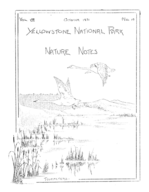 issue cover