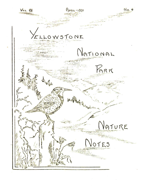 issue cover