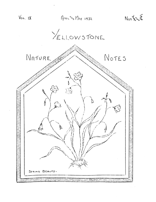 issue cover