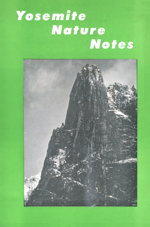 issue cover