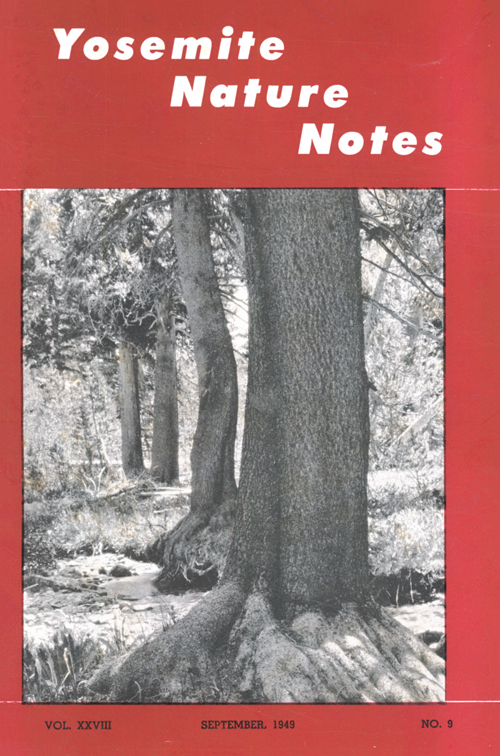 issue cover