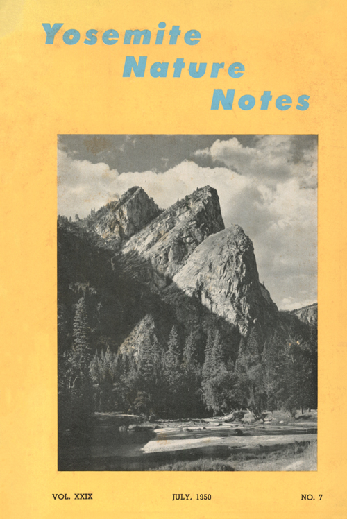 issue cover