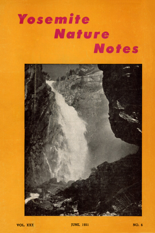 issue cover