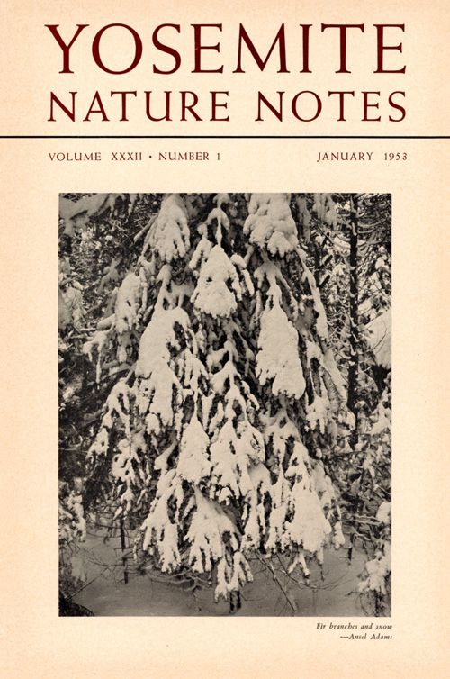 issue cover