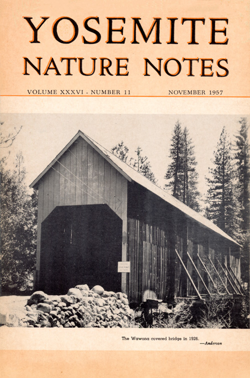 issue cover