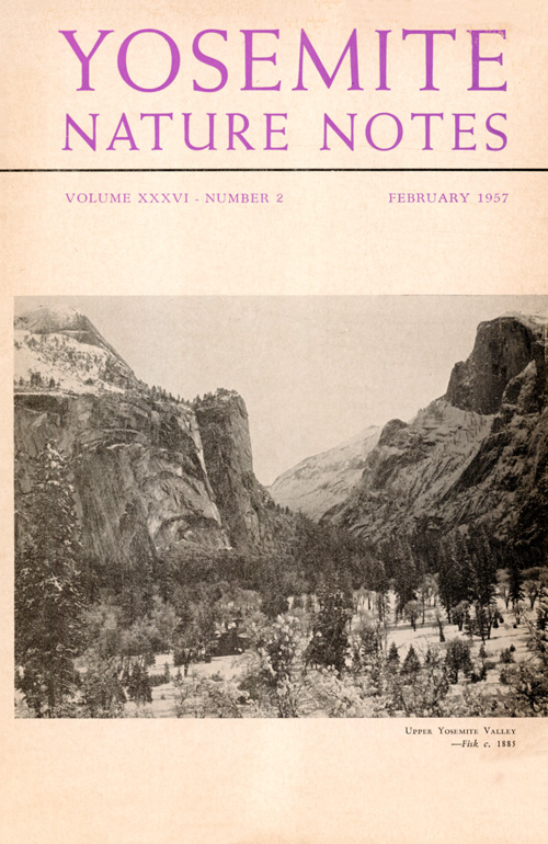 issue cover
