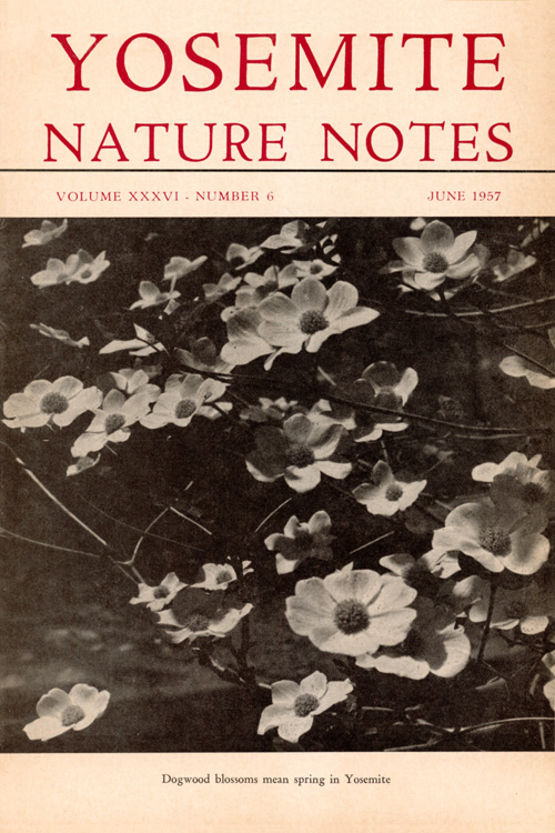 issue cover