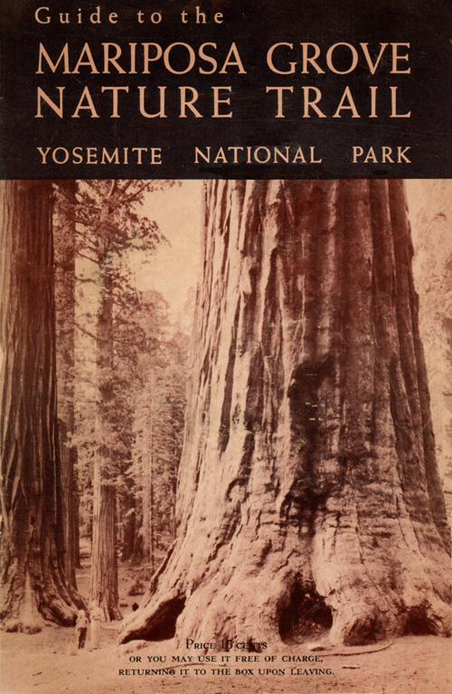 issue cover