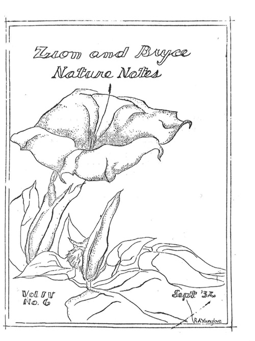 issue cover
