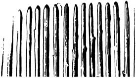 sketch of palisade wall