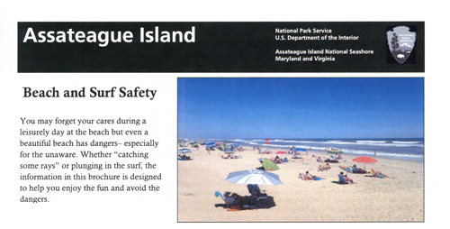 brochure cover